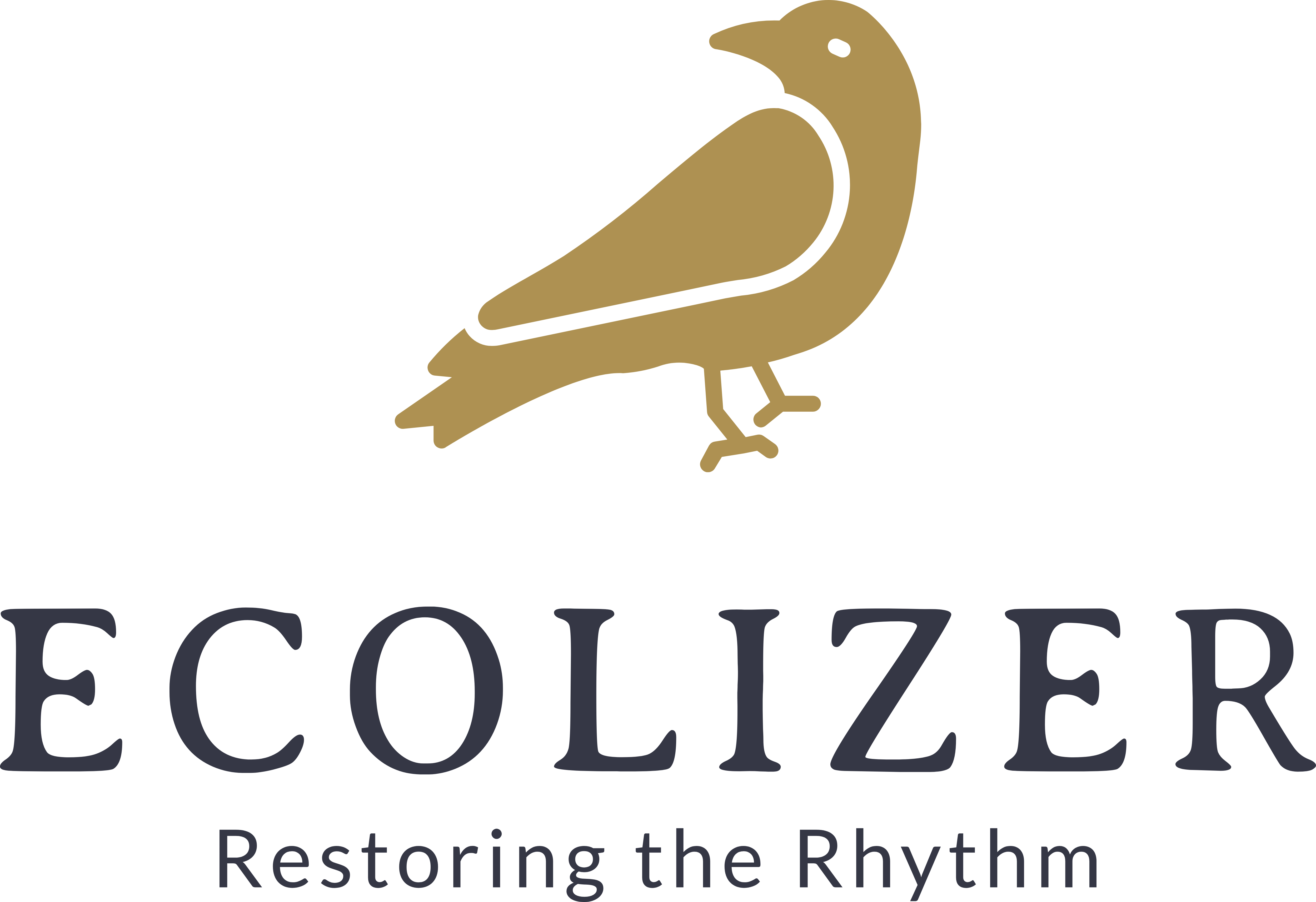 Ecolizer Logo